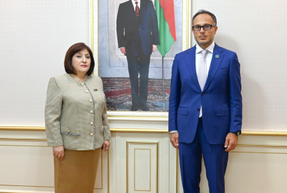 Speaker of the Milli Majlis H.E. Sahiba Gafarova met with the Secretary General of TURKPA